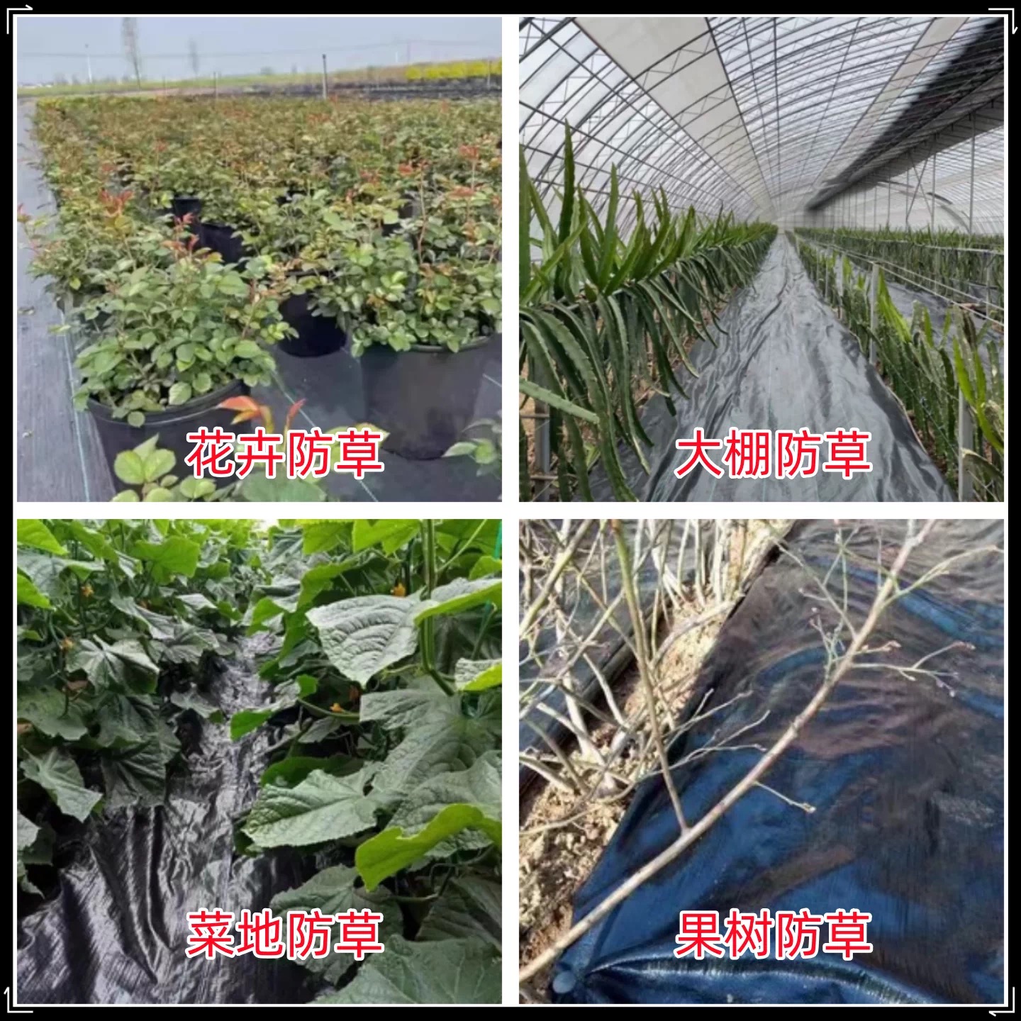 仙桃市po膜防草布 - 推荐