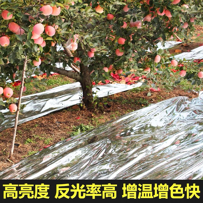 仙桃市地膜果树反光膜 - 厂家